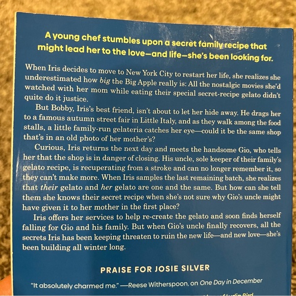 📚 3/$20 Book to Bundle - A Winter In New York - Picture 2 of 3